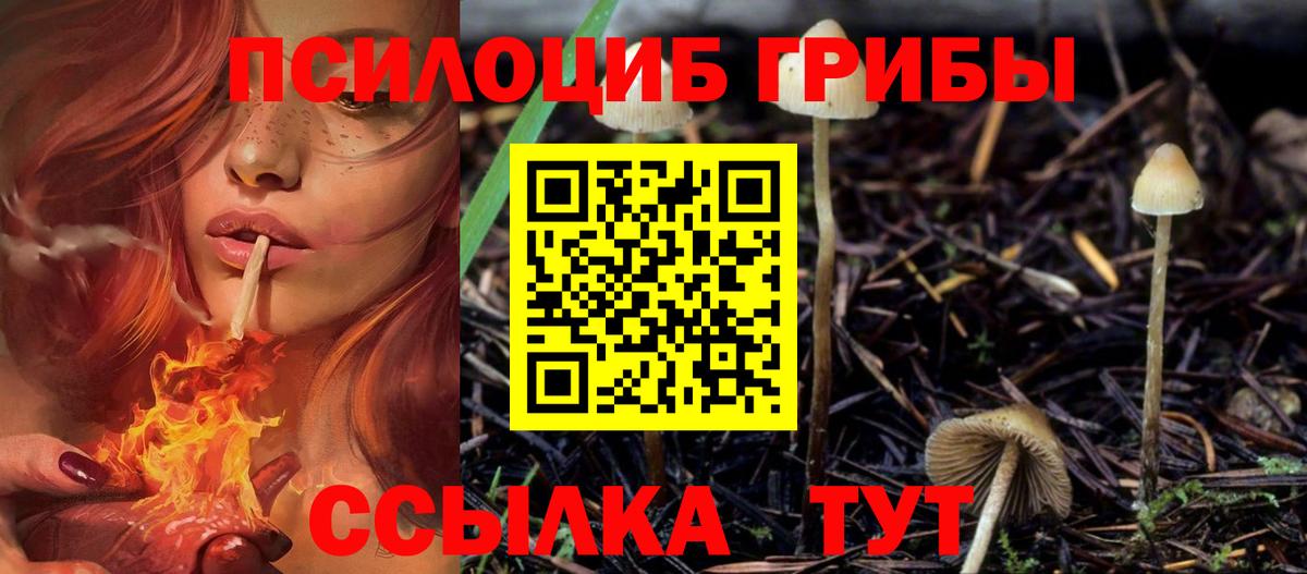 Галлюциногенные грибы Psilocybine cubensis  Вход с VPN  Мегион  Галлюциногенные грибы GOLDEN TEACHER 